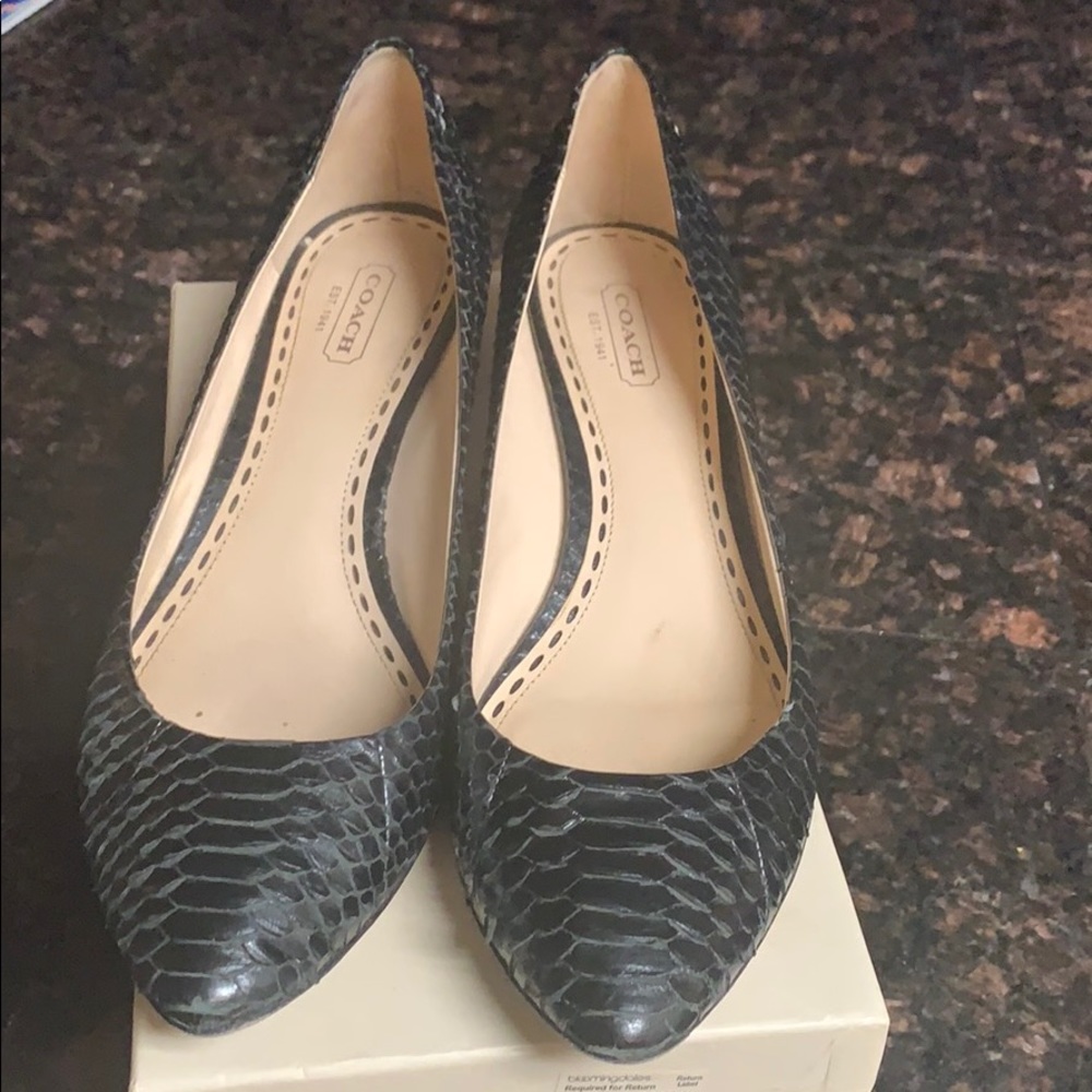 Coach pumps in box